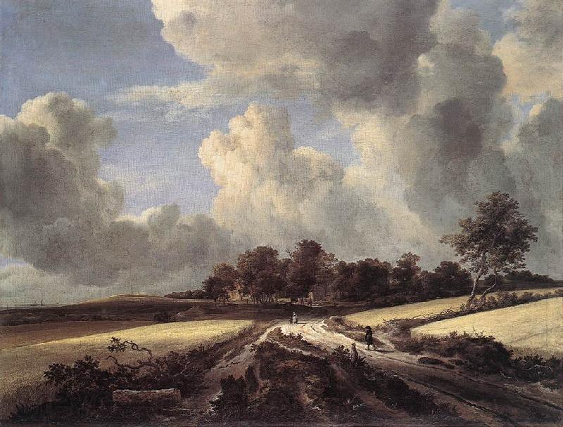 Jacob van Ruisdael Wheat Fields Spain oil painting art